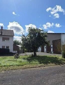 Wohnhaus mit Scheune und Nebengebäuden und Reitplatz in sonniger Alleinlage - Münzenberg