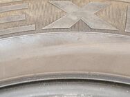 215/55 R17 94W Sommerreifen Nexen - Hannover