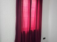 3 Vorhänge 140 x 245 mit Stange - Calw Zentrum
