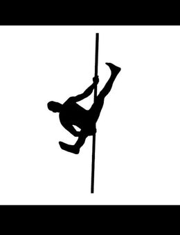 12x Pole Dance in Bonn 135,- (statt 235,-) auch für Silk oder Hoop - Siegburg