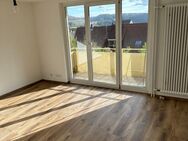 Neu renovierte 3 Zimmer Wohnung in Immendingen ab sofort zu vermieten - Immendingen