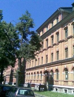 ****Ebersdorfer Str. - 1 Raum Wohnung**** - Chemnitz