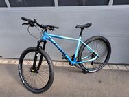 Mountain Bike Steven's Applebee 21" - Aschaffenburg