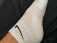 M 24 bietet getragene Socken Größe 46 - Gelsenkirchen