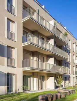 viel Platz für Ihre Familie - Berlin