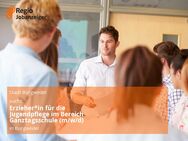 Erzieher*in für die Jugendpflege im Bereich Ganztagsschule (m/w/d) - Burgwedel