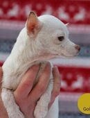 421303 - neues Leben beginnen in 51491