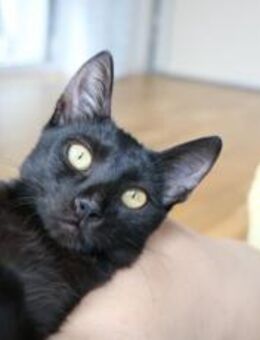 Nashi ist berei für ein neues Leben - München