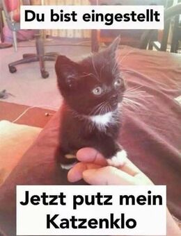 Suche nach Liebe 🔥 - Dresden