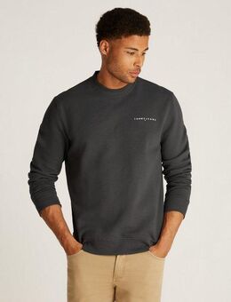 Tommy Jeans Sweatshirt TJM REG LINEAR CREW EXT mit Logostickerei