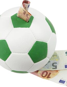 HMF Spardose Fußball Lederoptik Ø15cm grün/weiß - Birkenfeld (Baden-Württemberg)