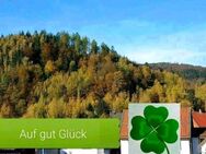 Ferienwohnung,-haus "Auf gut Glück" Lautenthal Harz, Privat - Langelsheim