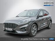 Ford Kuga, 2.0 ST-Line, Jahr 2024 - Halle (Saale)