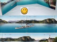 Ak, Schweiz, Vierwaldstätter See, Weggis, Hotel-Pension Rigi, Arthur Spicker, Raddampfer Schwyz - Sinsheim