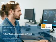 IT/SAP Projektmanager (m/w/d) - Garching (München)