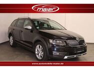 Skoda Octavia Scout 4x4 DSG-Navi-Xenon-Kamera-AHK-ACC- - Bebra