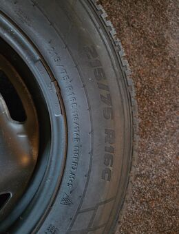 Ford Transit Winterreifen - Kamenz