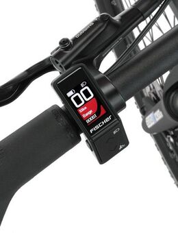 FISCHER Fahrrad E-Bike ATB TERRA 2.2 688, 8 Gang Shimano ACERA Schaltwerk, Heckmotor, 688 Wh, (mit Akku-Ladegerät, mit Werkzeug), Pedelec, Elektrofahrrad für Damen und Herren