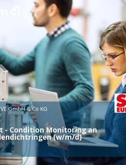 Praktikant - Condition Monitoring an Radialwellendichtringen (w/m/d) - Bruchsal