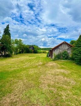 Großes Grundstück trifft auf großes Potenzial - Sanierungsbedürftiges EFH mit ca. 2.452 m² Grund - Wald (Regierungsbezirk Oberpfalz)