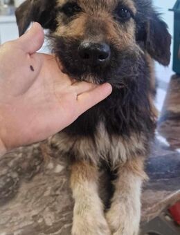 COCOA ❤ - Langenhagen