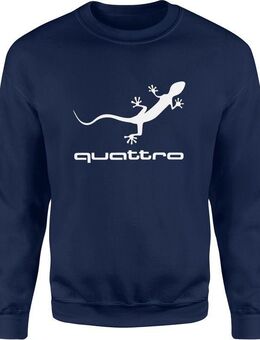 Herren Baumwoll-Sweatshirt für Audi-Fans – Mit hochwertigem Siebdruck quattro Set342 - Ingolstadt