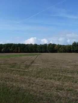 ca. 10,80 ha Ackerlandverkauf im Raum Alfhausen / Rieste - Rieste