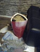 Blumentöpfe in 91466