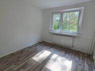 Erstbezug nach Sanierung! 3 Zi.Whg. mit Balkon in Walddrehna - Heideblick