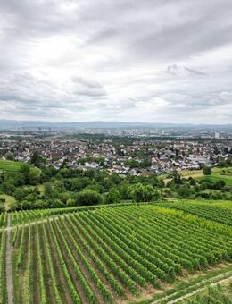Für Kapitalanleger - 2-Zimmerwohnung in Panoramalage in Haltingen - - Weil (Rhein)