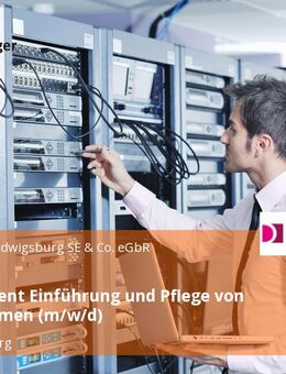 Werkstudent Einführung und Pflege von SAP-Systemen (m/w/d) - Ludwigsburg