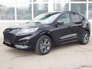 Ford Kuga 2.5 Duratec PHEV ST-LINE X - Schramberg