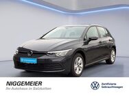 VW Golf, 1.0 TSI VIII LIFE, Jahr 2024 - Salzkotten