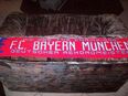 FC Bayern Schal in 59597