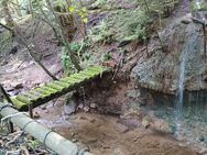 Baugrundstück: Sehr schönes Hanggrundstück - mit kleinem Bach und Zugang zu einer Wasserquellle - Merzig