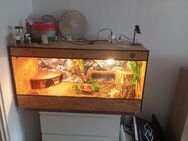 Terrarium 120x60x60cm aus Holz zu verkaufen - Delmenhorst