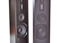 Standlautsprecher Infinity IRS Omega High End Lautsprecher in Esche schwarz - Coesfeld