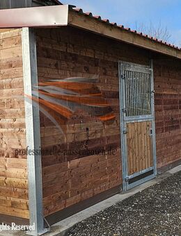 Pferdestall bauen & Offenstall und Pferdebox kaufen in Hoher Qualität. - Münster