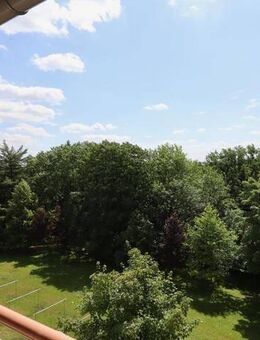 HALBES JAHR - HALBE (Kalt)MIETE! Zuhause heißt entspannen! - Chemnitz