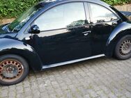 New Beetle - Rothenbach