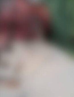 Tho*** - Lahr (Schwarzwald)