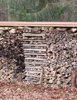 Brennholz Kaminholz ab 70 Euro pro Ster - Bad König