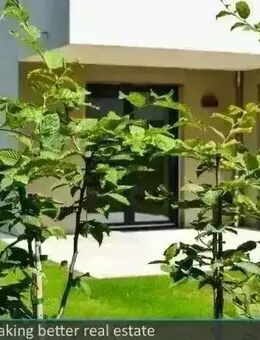 Grüne Oase: Großzügige 2-Zimmer-Wohnung mit Terrassen und Privatgarten - Dresden