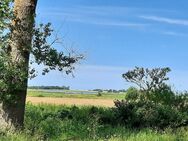 Ostsee - Boddenküste - Wasserblick - Baugrundstück - Ribnitz-Damgarten - Ribnitz-Damgarten