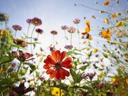 Genießen Sie Kindergelächter und Natur pur - das perfekte Zuhause für junge Familien nahe Berlin! - Schönwalde-Glien