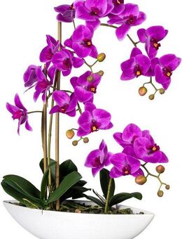 Kunstorchidee Phalaenopsis Orchidee Phalaenopsis, Creativ green, Höhe 60 cm, im Keramikschiff