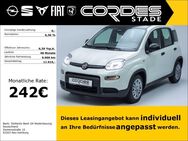 Fiat Panda, 1.0 Pandina Mild Hybrid, Jahr 2024 - Stade (Hansestadt)