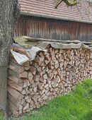 Buchenbrennholz in 86633