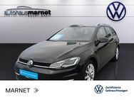 VW Golf Variant, 1.0 TSI Golf VIII IQ DRIVE, Jahr 2020 - Heidenheim (Brenz)