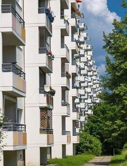 Schöne 2 Zimmer Wohnung sucht neue Mieter! - Dresden